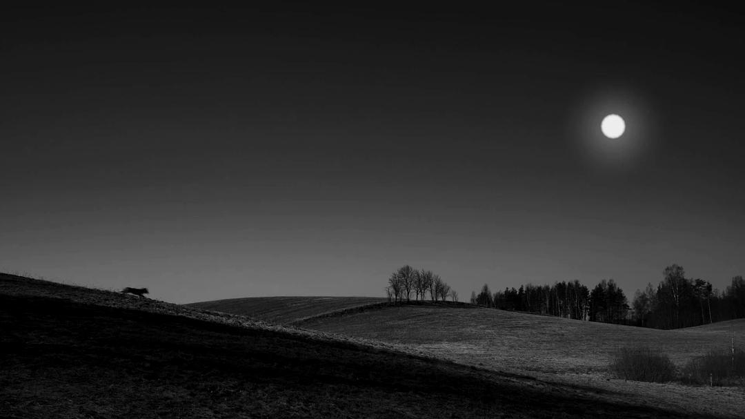 魔鬼时光(2017)的剧照 魔鬼时光(2017)的剧照