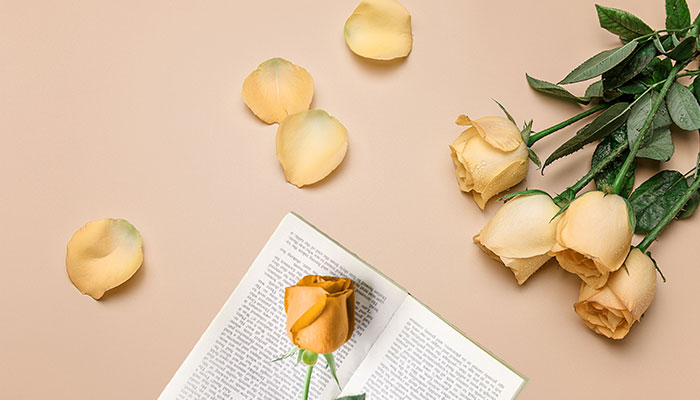 玫瑰花有哪些特点 玫瑰花的特点