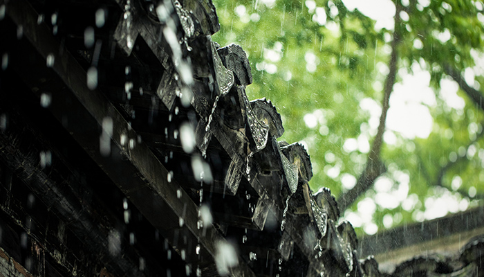 雨-125.jpg 雨-125.jpg