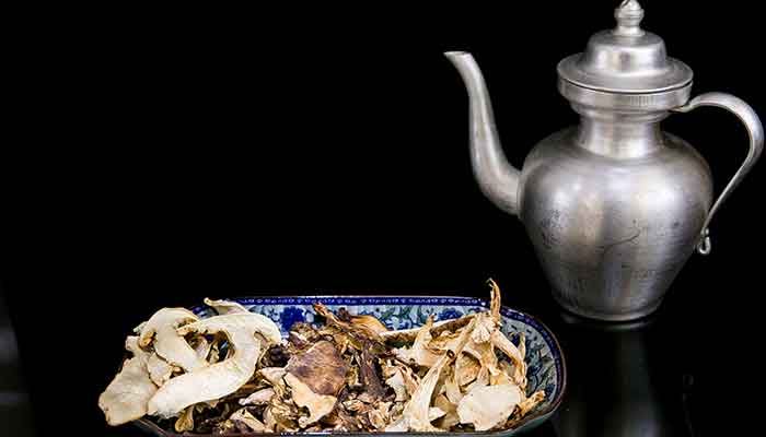 松茸11.jpg 松茸11.jpg