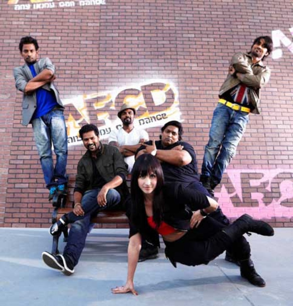 (Any(2013)的剧照 (Any(2013)的剧照