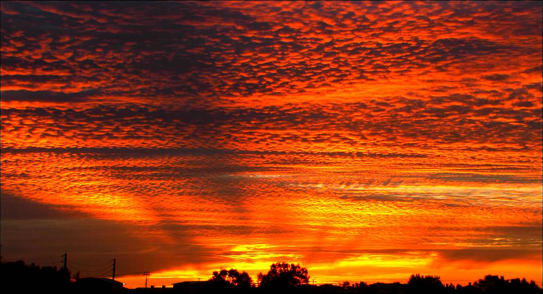 狼溪(2005)的剧照 狼溪(2005)的剧照