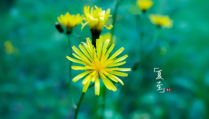 2023夏至不会提早吗3