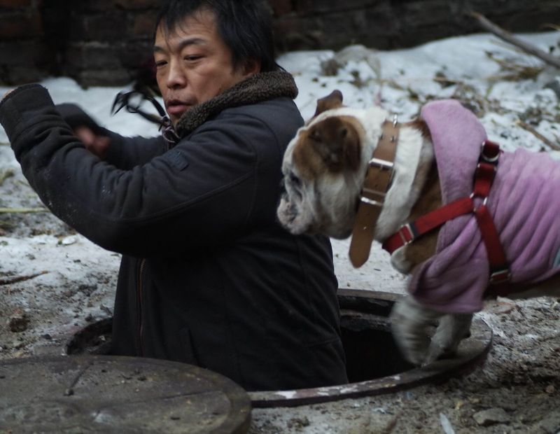 倔强萝卜
(2009)的剧照 倔强萝卜
(2009)的剧照