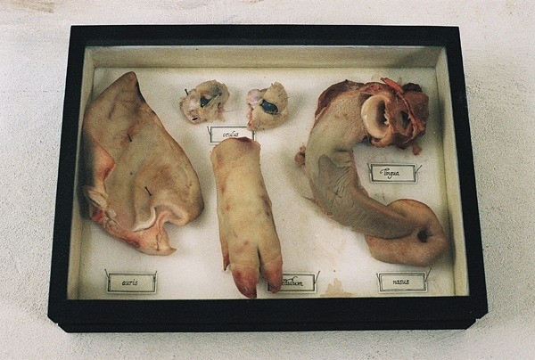 梦魇疯人院(2005)的剧照 梦魇疯人院(2005)的剧照