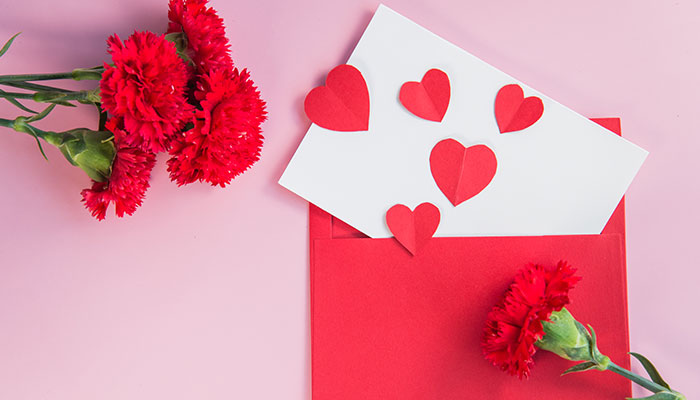 康乃馨花语和寓意 康乃馨花语和寓意分别是什么