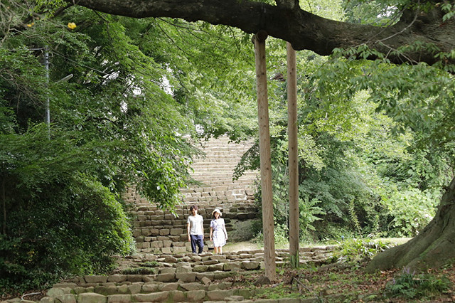 群青色大道(2015)的剧照 群青色大道(2015)的剧照