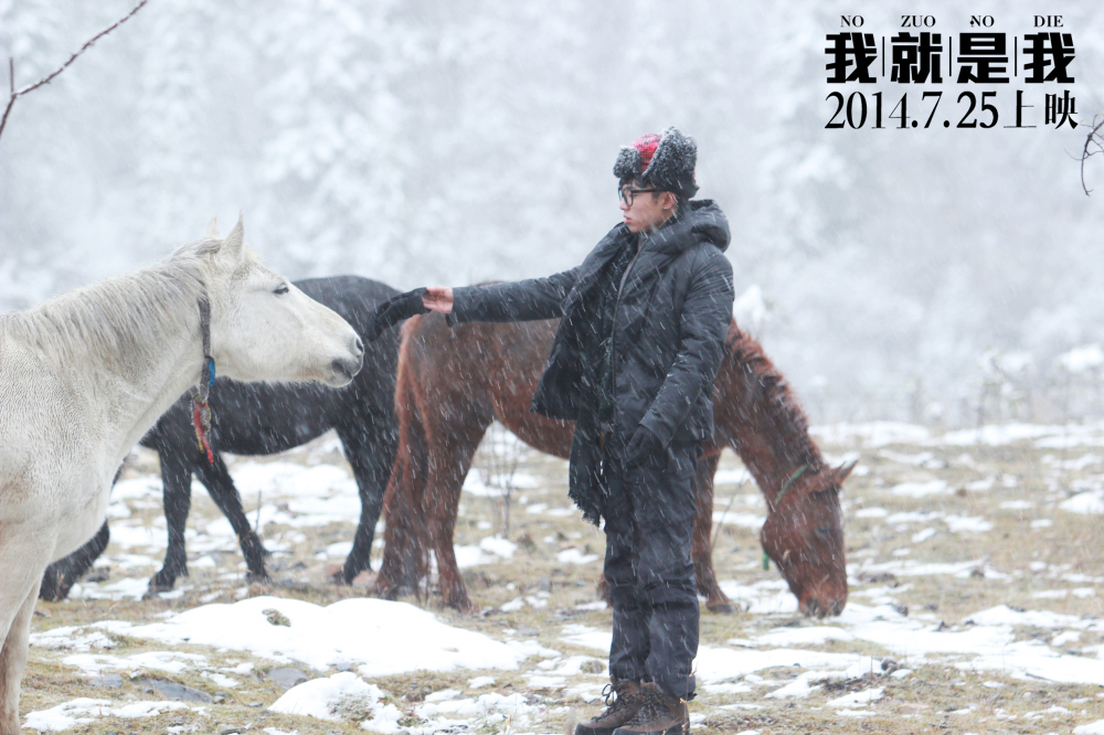 我就是我
(2014)的剧照 我就是我
(2014)的剧照