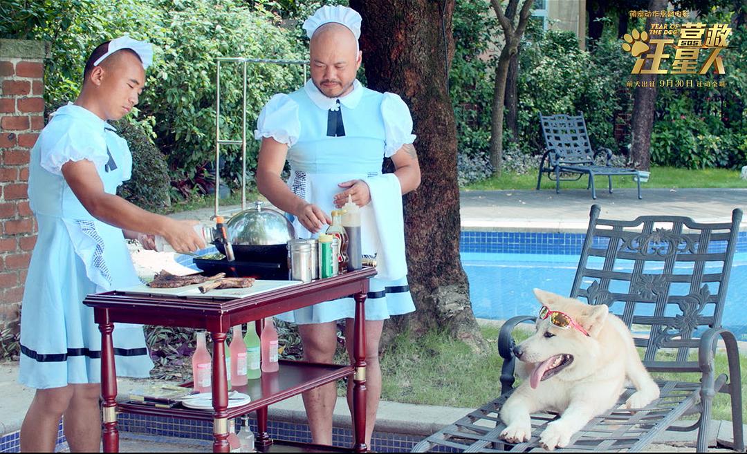 营救汪星人
(2018)的剧照 营救汪星人
(2018)的剧照