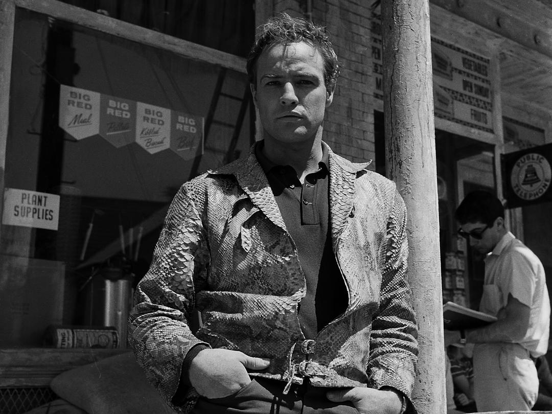 逃亡者(1960)的剧照 逃亡者(1960)的剧照