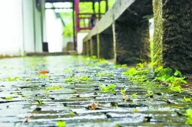 2023年长江中下游梅雨季节是几月份3