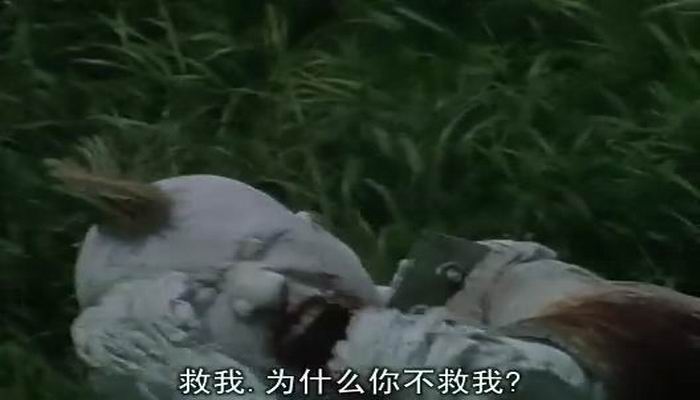 匹诺曹964号(1991)的剧照 匹诺曹964号(1991)的剧照