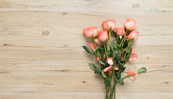 盆栽玫瑰花的养殖方法和注意事项 盆栽玫瑰花的种植方法和注意事项