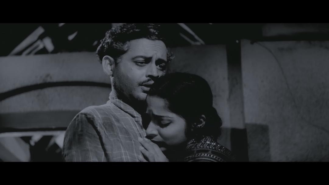 纸花(1959)的剧照 纸花(1959)的剧照