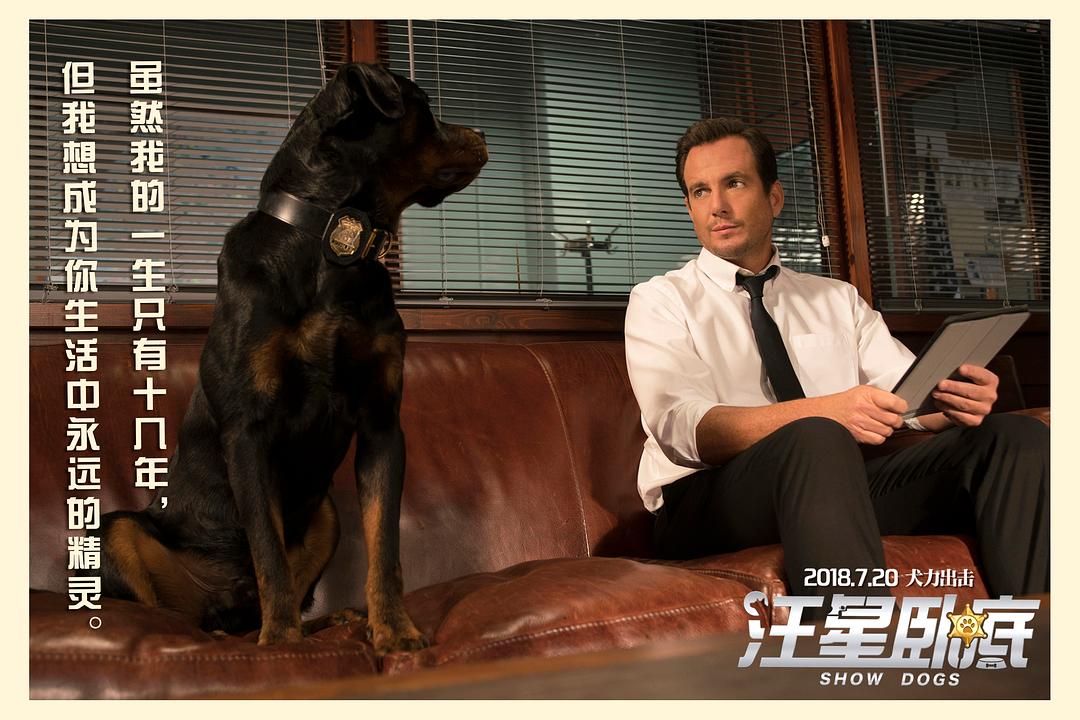 汪星卧底(2018)的剧照 汪星卧底(2018)的剧照