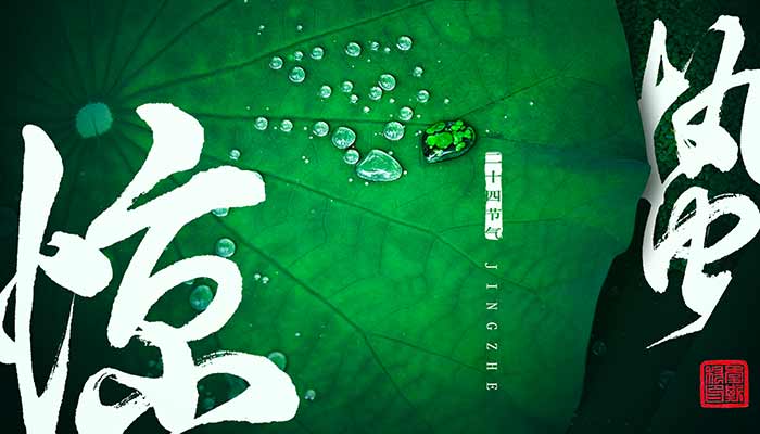 惊蛰22.jpg 惊蛰22.jpg