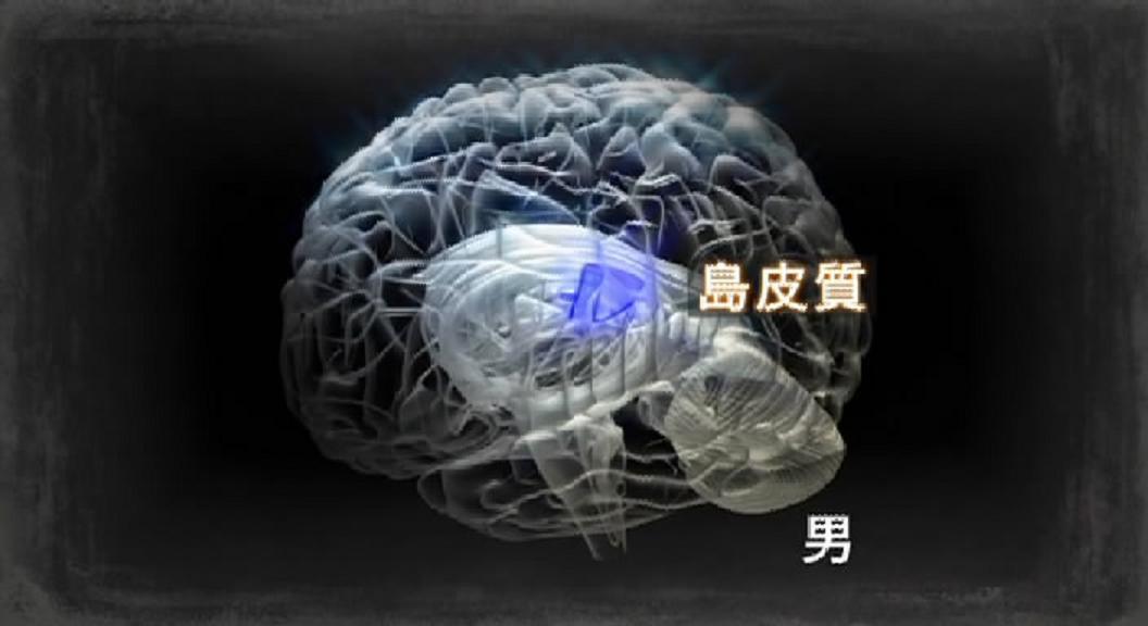 女和男—最新科学解读的性(2009)的剧照 女和男—最新科学解读的性(2009)的剧照