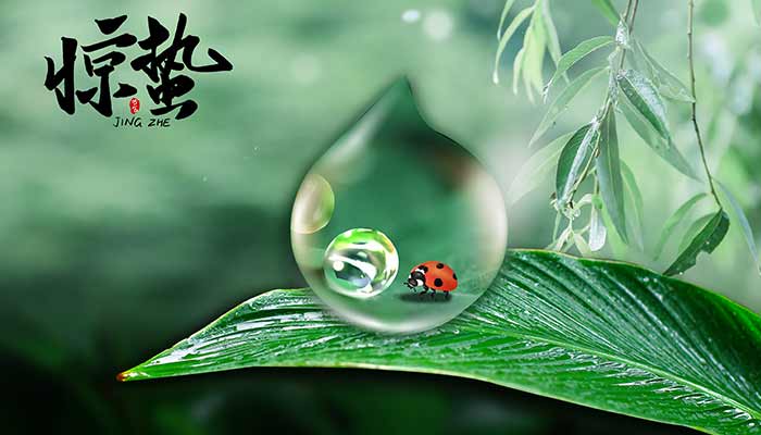 惊蛰12.jpg 惊蛰12.jpg