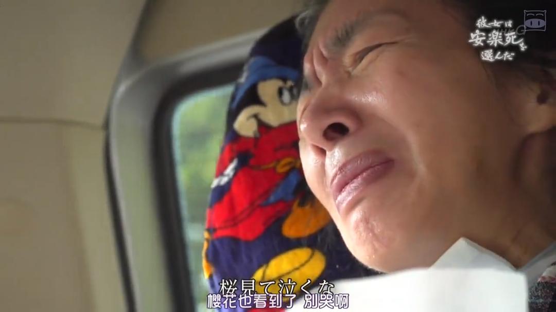 她选择了安乐死(2019)的剧照 她选择了安乐死(2019)的剧照