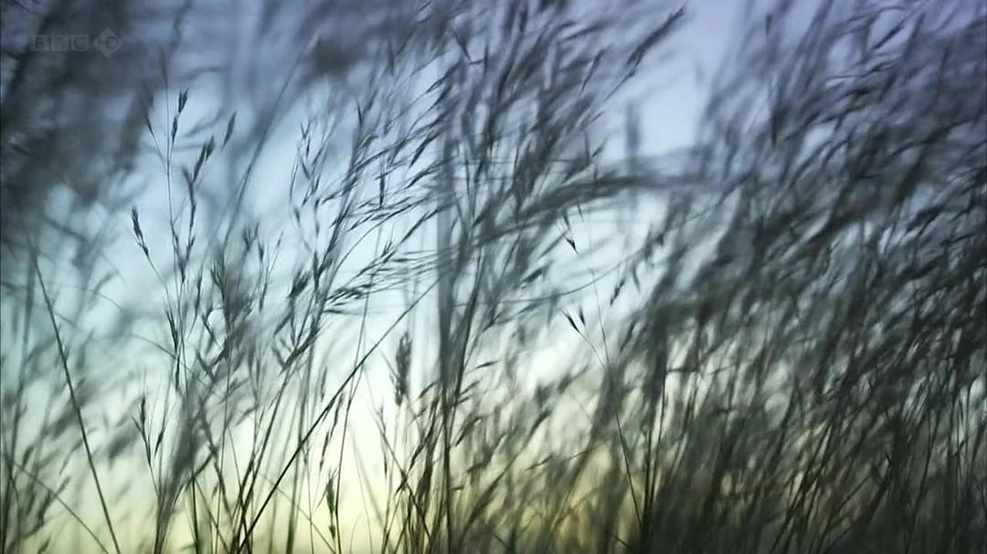 种出个地球(2012)的剧照 种出个地球(2012)的剧照