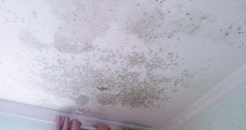 天花板发霉是楼上漏水吗3