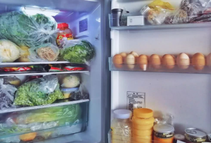 冰箱显示e0故障怎么解决2