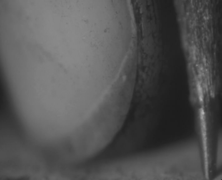 缺席(2000)的剧照 缺席(2000)的剧照