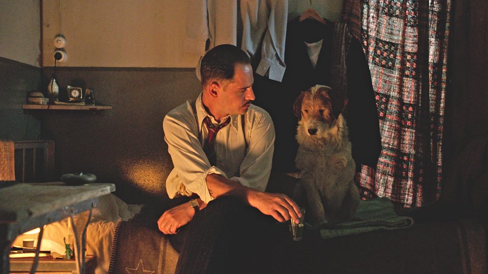 德国往事(2017)的剧照 德国往事(2017)的剧照