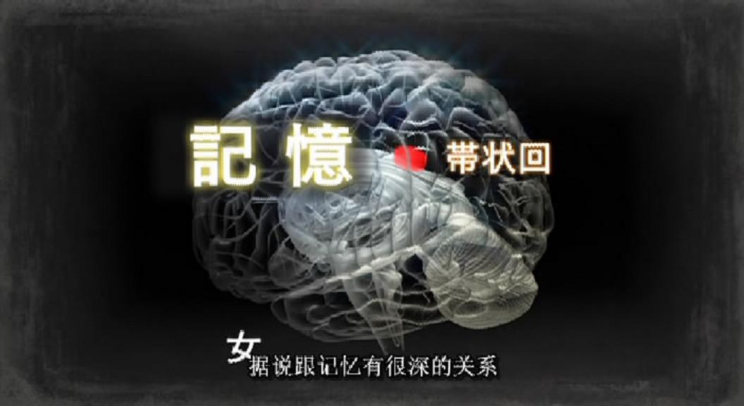 女和男—最新科学解读的性(2009)的剧照 女和男—最新科学解读的性(2009)的剧照