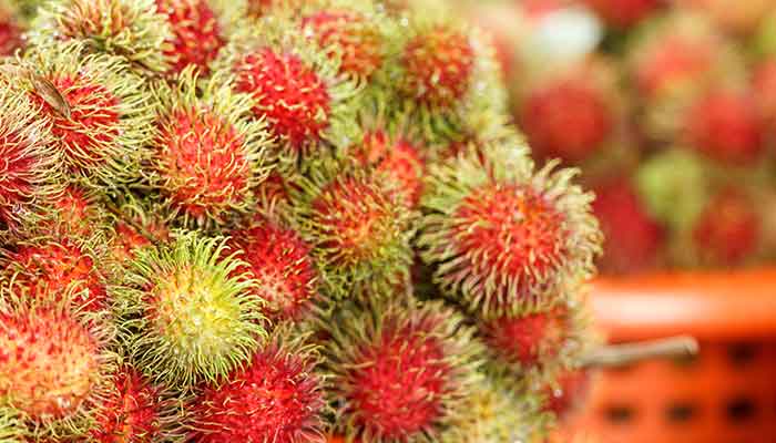 红毛丹.jpg 红毛丹.jpg