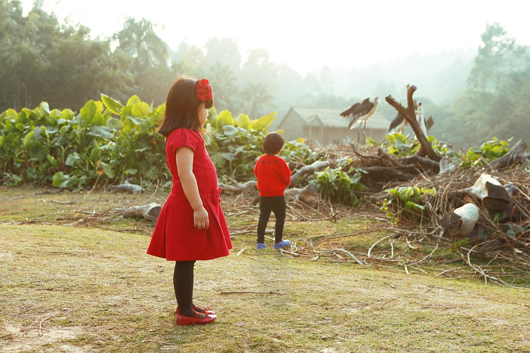 爸爸去哪儿
(2014)的剧照 爸爸去哪儿
(2014)的剧照