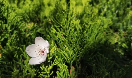 2023年南京几月开始暖和2