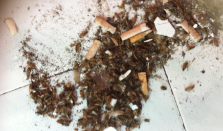 粉末状蟑螂药能不能放在卧室2