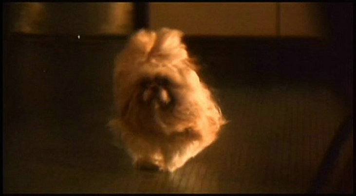 夜半2点钟(1997)的剧照 夜半2点钟(1997)的剧照