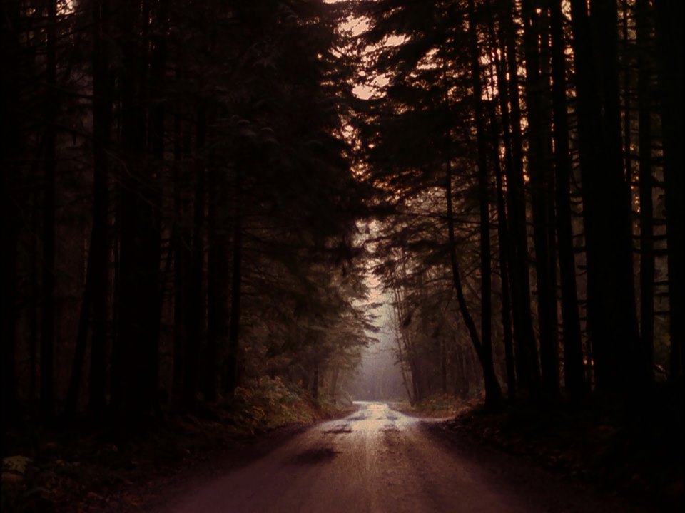 双峰(1990)的剧照 双峰(1990)的剧照