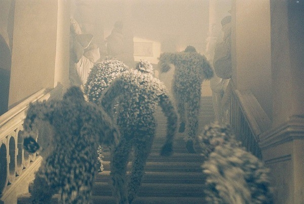 梦魇疯人院(2005)的剧照 梦魇疯人院(2005)的剧照