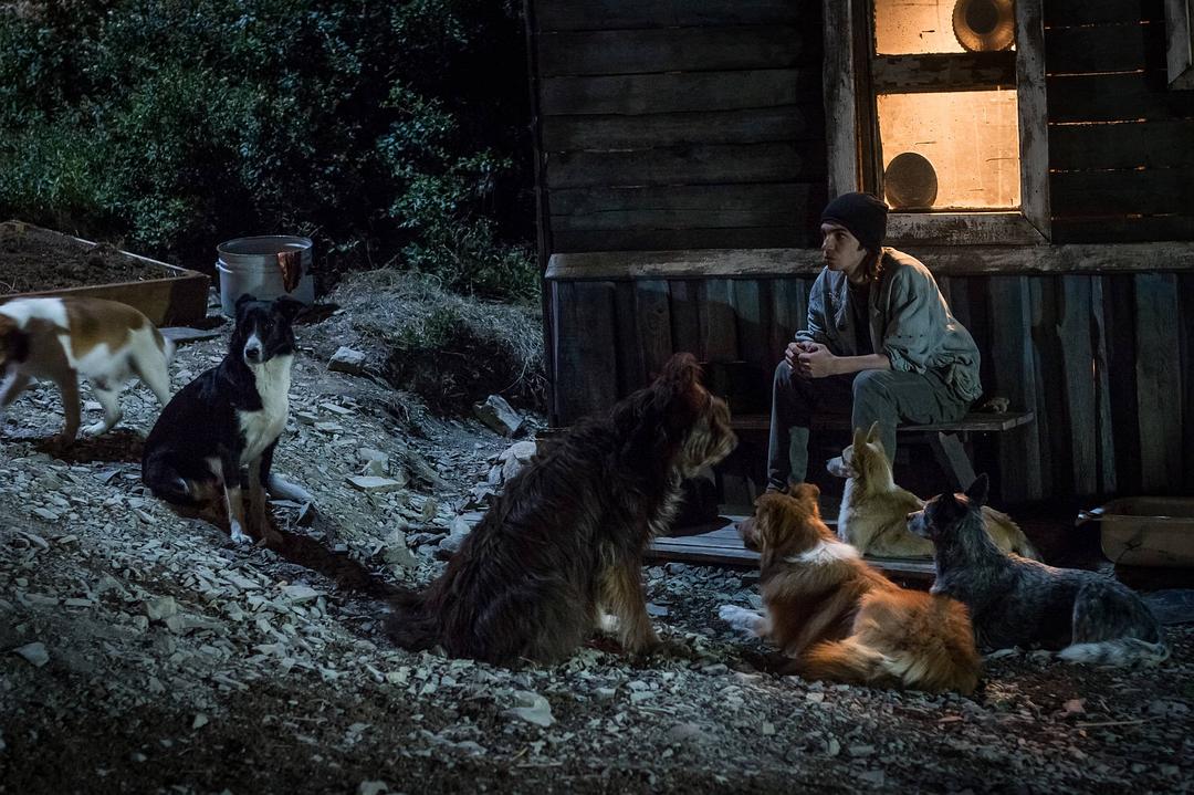 超能力家庭(2016)的剧照 超能力家庭(2016)的剧照