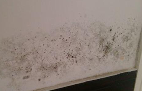 卧室墙面发霉还能睡吗3