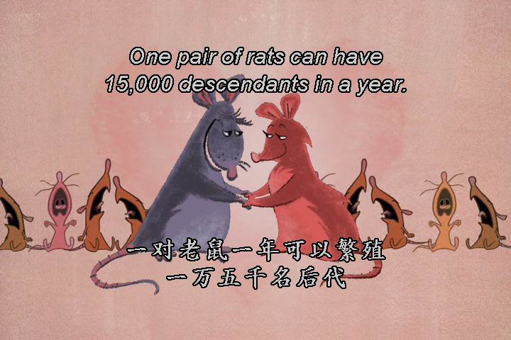 你的老鼠朋友(2007)的剧照 你的老鼠朋友(2007)的剧照