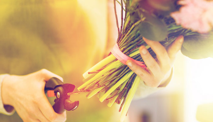 龙吐珠怎么修剪 龙吐珠的修剪方法