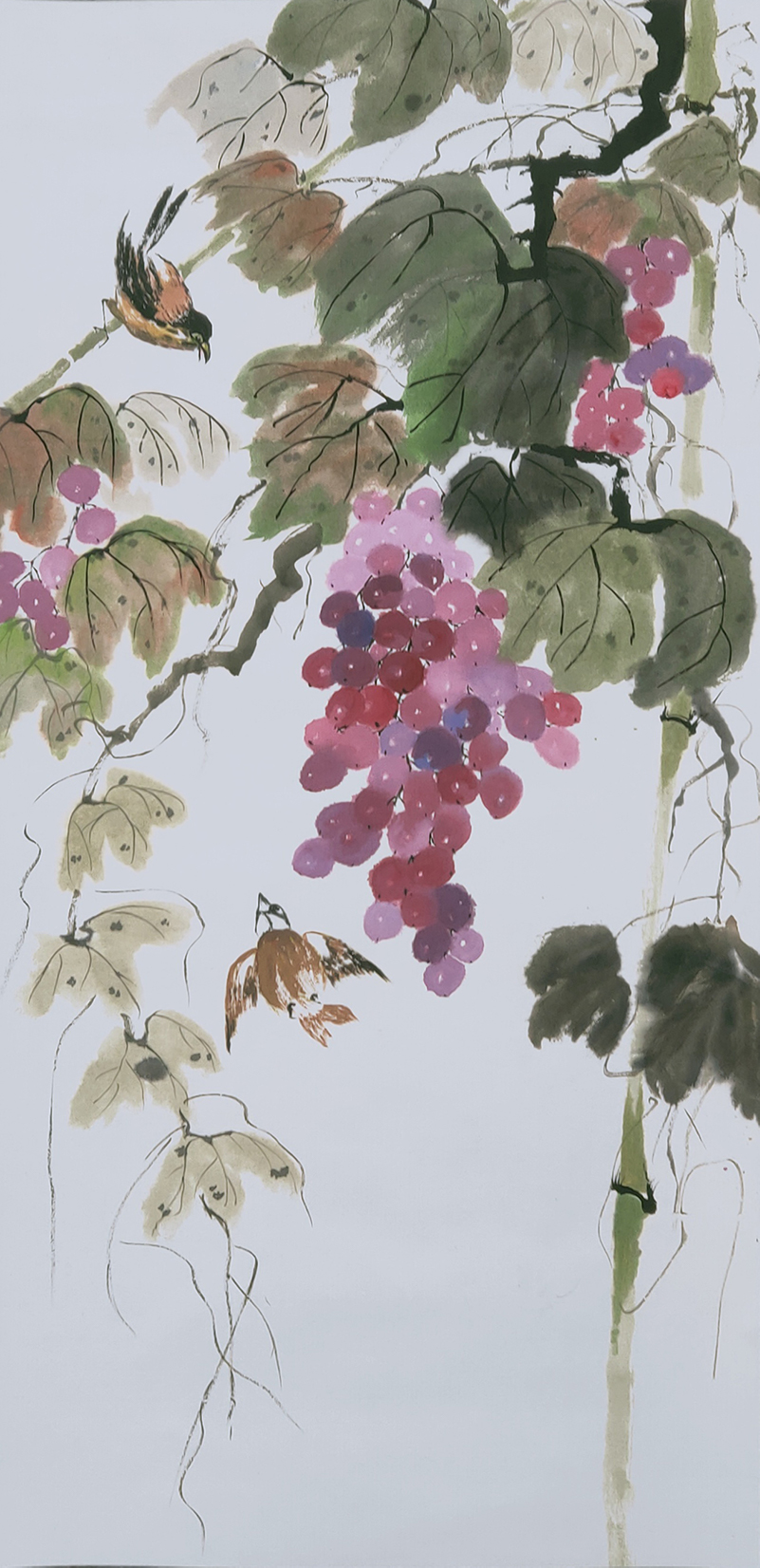 1665号 作品名称:黄雀葡萄。尺寸:120cm乘50cm。2020年创作。.jpg 1665号 作品名称:黄雀葡萄。尺寸:120cm乘50cm。2020年创作。.jpg