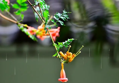2023年长江中下游梅雨季节是几月份2