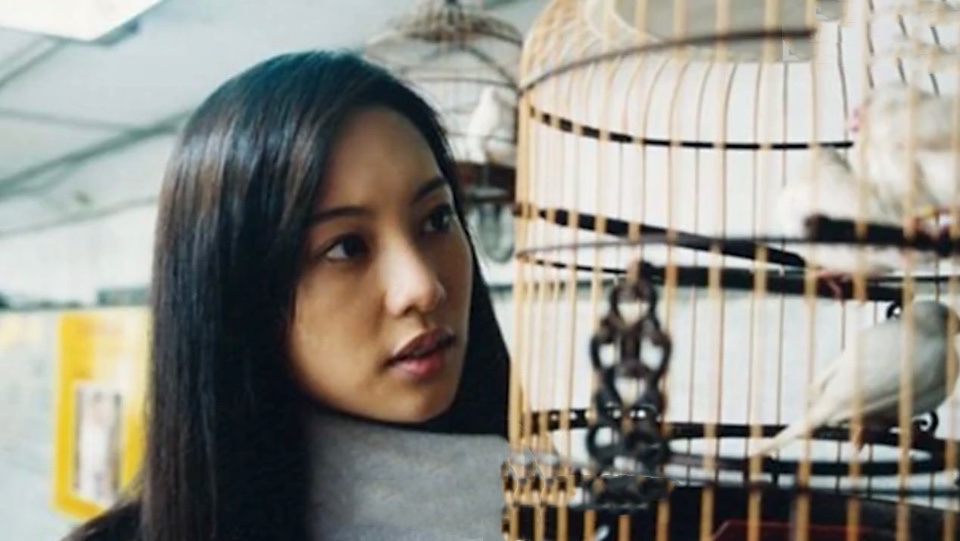 宅变
(2005)的剧照 宅变
(2005)的剧照