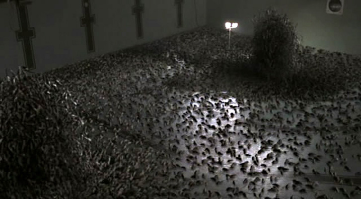 灭鼠大战(2002)的剧照 灭鼠大战(2002)的剧照