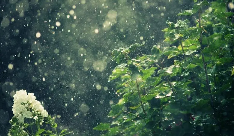 2023年青岛6月份经常下雨吗3