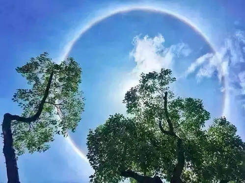 2023年三伏天最高温是几度3