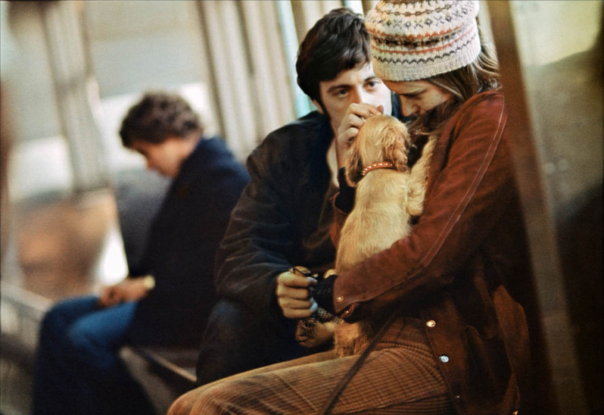 毒海鸳鸯(1971)的剧照 毒海鸳鸯(1971)的剧照