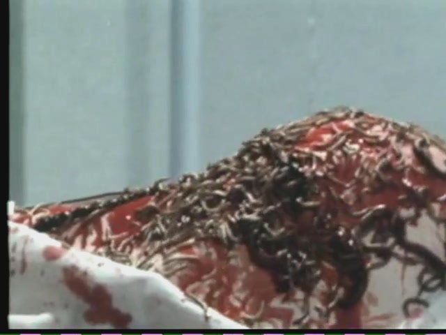 毒蛊(1983)的剧照 毒蛊(1983)的剧照