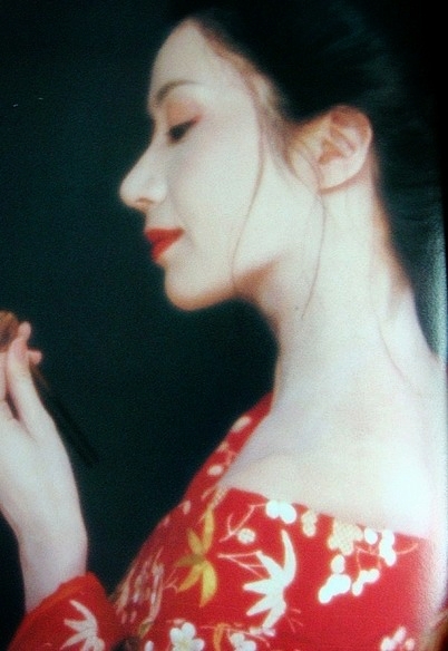 岩下志麻 岩下志麻