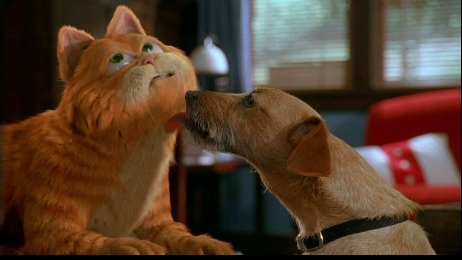 加菲猫里面的狗是什么品种?一起来认识一下吧! 加菲猫里面的狗是什么品种?一起来认识一下吧!